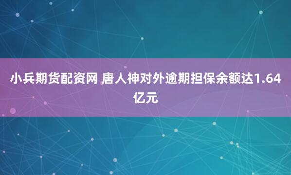 小兵期货配资网 唐人神对外逾期担保余额达1.64亿元